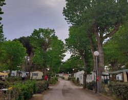 Camping les Jardins d'Agathe Dış Mekan