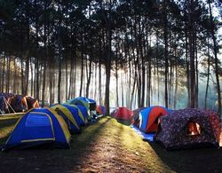 Camping on Olkhon Öne Çıkan Resim