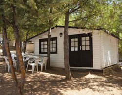 Camping ValdeArenas Dış Mekan