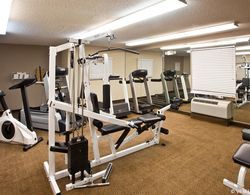 Candlewood Suites Clearwater  Aktiviteler