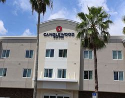 Candlewood Suites Safety Harbor - Clearwater NE, an IHG Hotel Dış Mekan