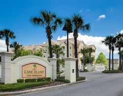 Cane Island Resort by Amazing Vacation Homes FL. Inc Dış Mekan
