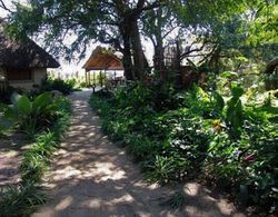 Caprivi Houseboat Safari Lodge Genel