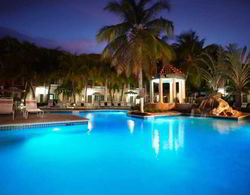Caribbean Palm Village Resort Havuz
