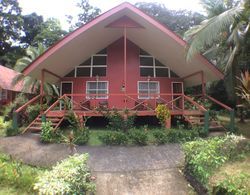 Caribbean Paradise Eco-Lodge Öne Çıkan Resim