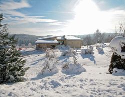 Carinthia Oberwinklern Oda