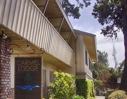 Carmel Lodge Genel