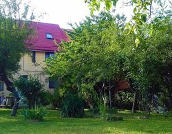 Carpathian Villa Sibiu Dış Mekan