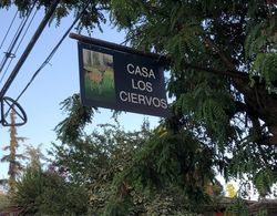 Casa Los Ciervos Dış Mekan