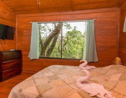 Casa Macaw Jungle Cabin w Private Pool Wifi and AC Oda