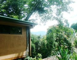 Casa Macaw Jungle Cabin w Private Pool Wifi and AC Oda