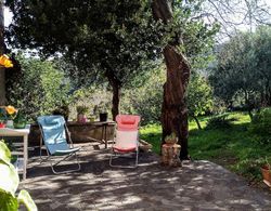 Casa Mimi Garden With a View Cuglieri Sardinia Dış Mekan