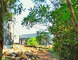 Casas do Morgadio - azorean wine & lodge Dış Mekan