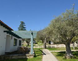Casas Rurales Aldeaduero Dış Mekan