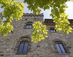 Castello di Volognano Dış Mekan