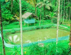 Cavern Resort Wayanad Oda Manzaraları