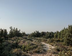 Villa Cedar Forest Alyko Naxos Dış Mekan