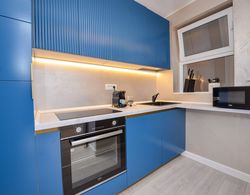 Celeste Apartment - Cismigiu Gardens İç Mekan