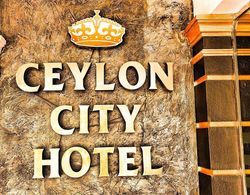 Ceylon City Hotel Genel