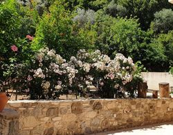 Chaihoutes stone villa into Olive farm in Zia Dış Mekan