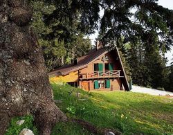 Chalet Alpinka Dış Mekan