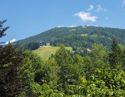 Chalet Dorf Wagrain Alpenleben Dış Mekan