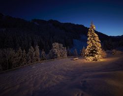 Chalet Tannenbaum Dış Mekan