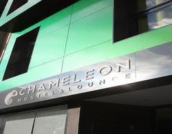 Chameleon Hostel Alicante Genel