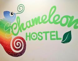 Hostel Chameleon İç Mekan