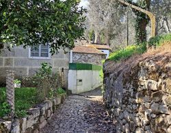 Charming 2-bed Cottage in Santa Marinha do Zêzere Dış Mekan