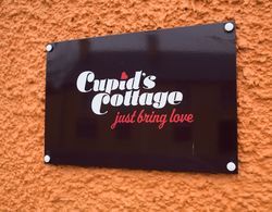 Charming 2-bed House in West Cork Cupid's Cottage Dış Mekan