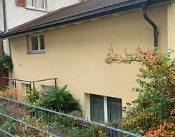 Charming 2-bed Apartment in Arlesheim 15 min Basel Dış Mekan