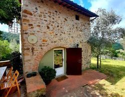 Charming 4-bed Cottage 15 Minutes From Florence Dış Mekan