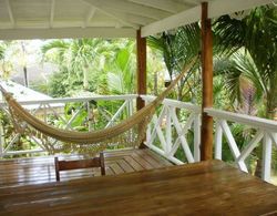 Charming Caribbean Style Villa Near Superb Beach Dış Mekan
