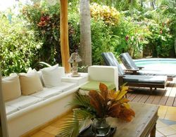 Charming Caribbean Style Villa Near Superb Beach İç Mekan
