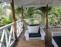 Charming Caribbean Style Villa Near Superb Beach İç Mekan