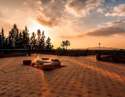 Charming Villa in the Heart of Marrakech Palm Grove Dış Mekan