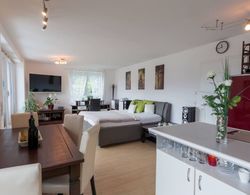 Charming Penthouse- Zell am See With Amazing View İç Mekan