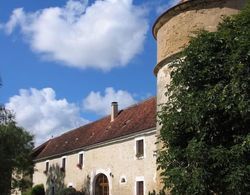 Château de Ribourdin Dış Mekan