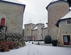 Château de Thorens Dış Mekan