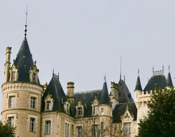 Château Des Chevaliers De Londigny Dış Mekan