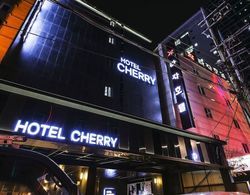 Cherry Hotel Jamsil Dış Mekan