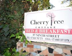 Cherry Tree Cottage Linden Bed and Breakfast Dış Mekan