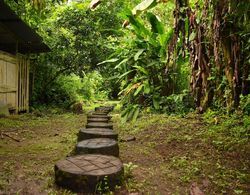 Chilamate Rainforest Eco-retreat Genel