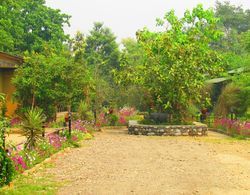 Chitwan Gaida Lodge Dış Mekan