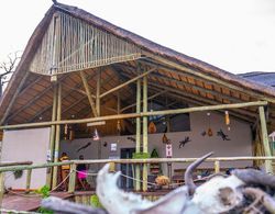 Chobe Mupani Forest Lodge Dış Mekan