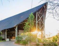 Chobe Safari Lodge Dış Mekan