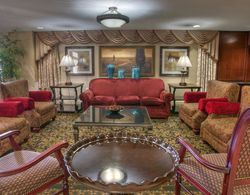 Clarion Collection Hotel Arlington Court Suites Genel