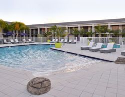 Clarion Inn & Suites Across from Universal Orlando Havuz