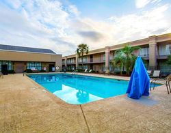 Clarion Inn & Suites Dothan South Genel